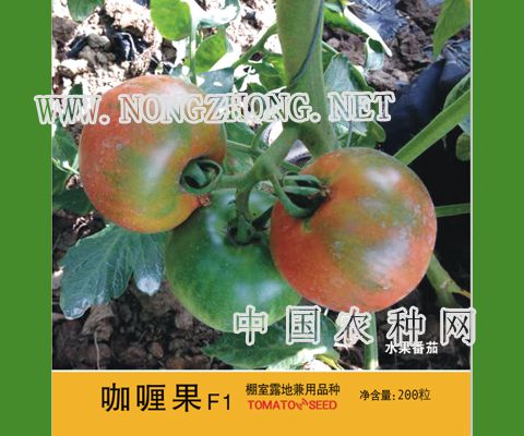 咖喱果